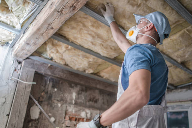 Best Spray Foam Insulation  in Lakeview, WA